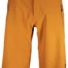 Scott Shorts M's Trail Storm WP